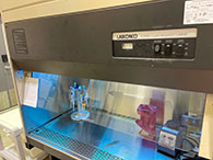biosafety cabinet