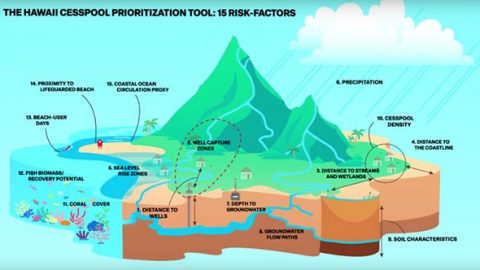 Cesspool risk factors (March 2023 article)