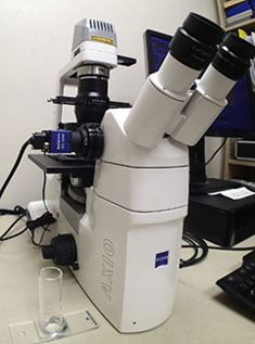 microscope