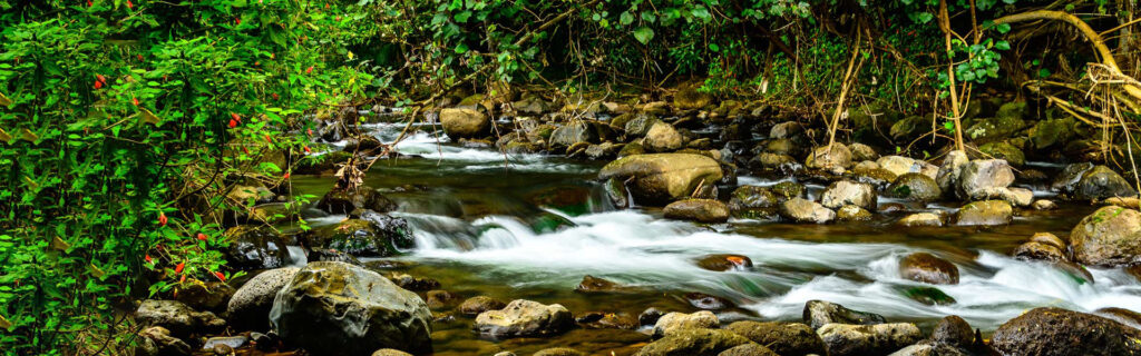 water flowing over rocks in stream