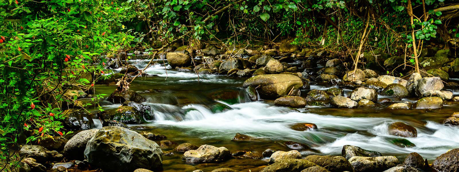 water flowing over rocks in stream