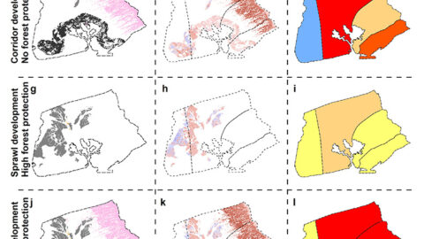 Change in land cover, groundwater recharge (mm/yr), and resulting optimized sustainable yield estimates displayed by withdrawal rates per well (million liters per day; MLD). All in comparison to baseline land cover and under RCP 8.5 mid-century climate conditions.