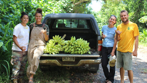 Agroforestry systems have the capacity to support resilient coastal communities through providing food, conserving native biodiversity, and supporting multiple ecosystem services, and represent growing priorities for conservation initiatives worldwide