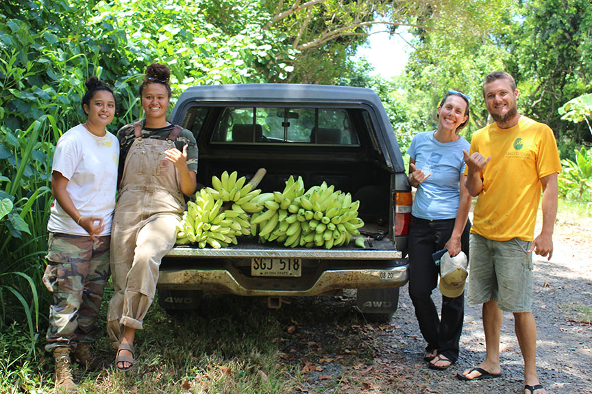 Agroforestry systems have the capacity to support resilient coastal communities through providing food, conserving native biodiversity, and supporting multiple ecosystem services, and represent growing priorities for conservation initiatives worldwide