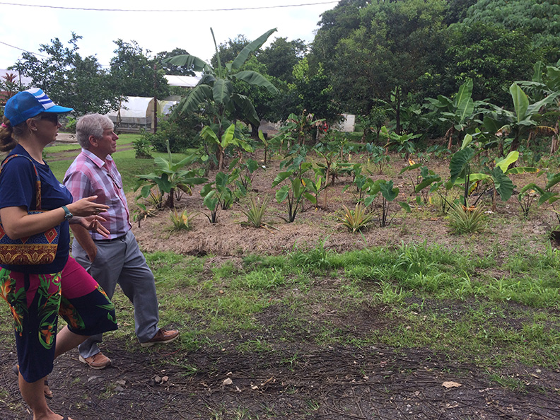 USGS program director Earl Greene tours an agricultural plantation in American Samoa. Agricultural lands are one of the primary land use types to be modified for the land-use change scenarios.