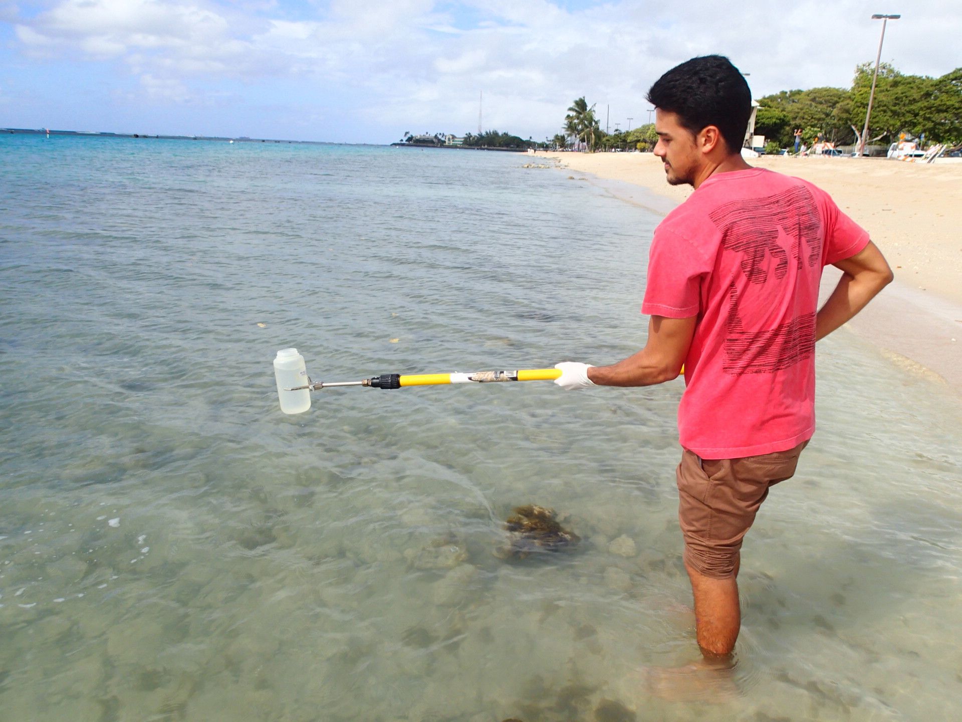 Sampling at Ala Moana Beach