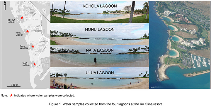 Water samples collected from the four lagoons at the Ko Olina resort.