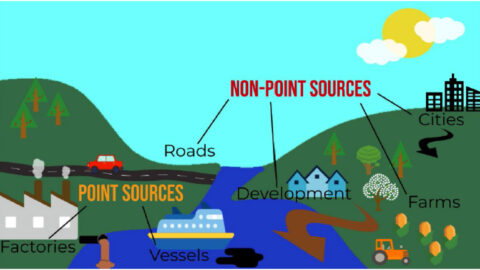 Examples of various origins of point and nonpoint pollution.
