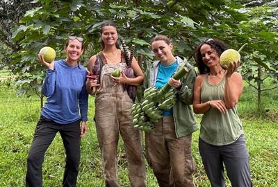 4 women holding harvested fruits
