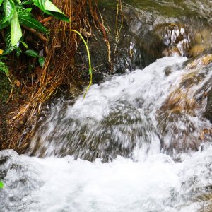 photo of a stream