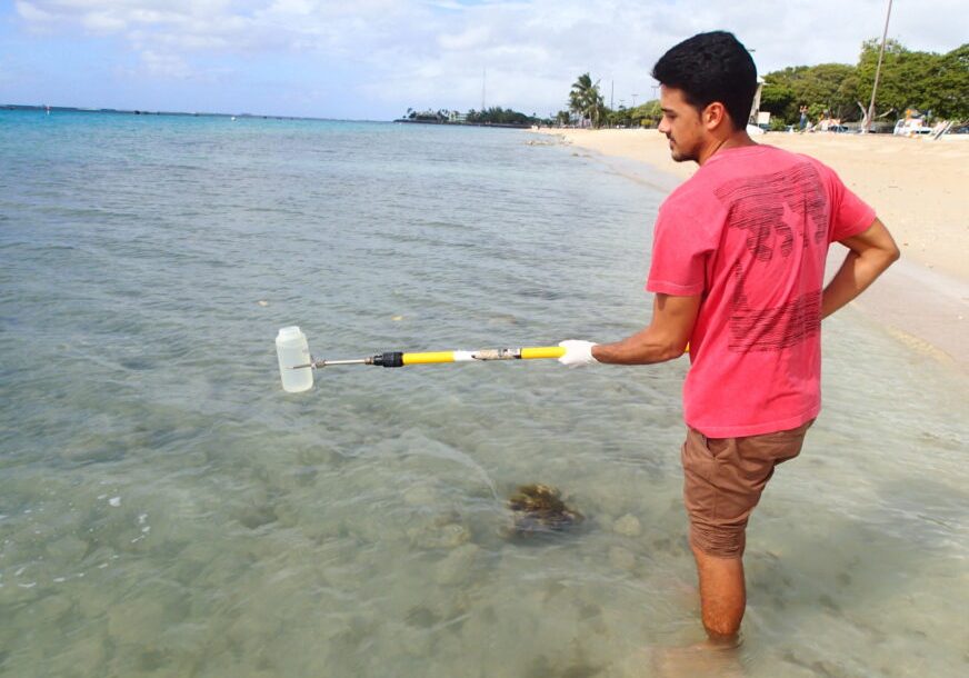 Sampling at Ala Moana Beach